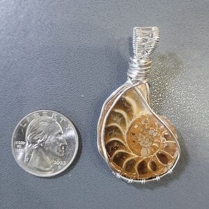Silver and Brown Wire Wrapped Pendant